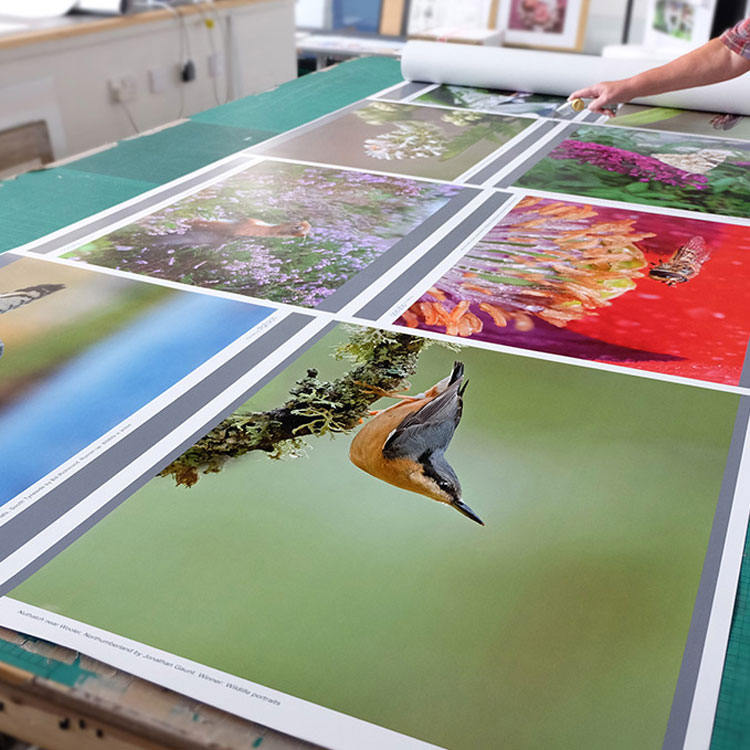 Large Format Photo Printing