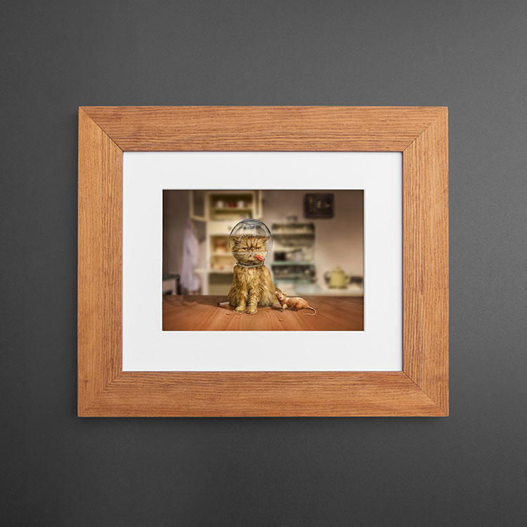 framed-print_tribeca Frame_picture frames_custom picture frames_digitalab_photo frame
